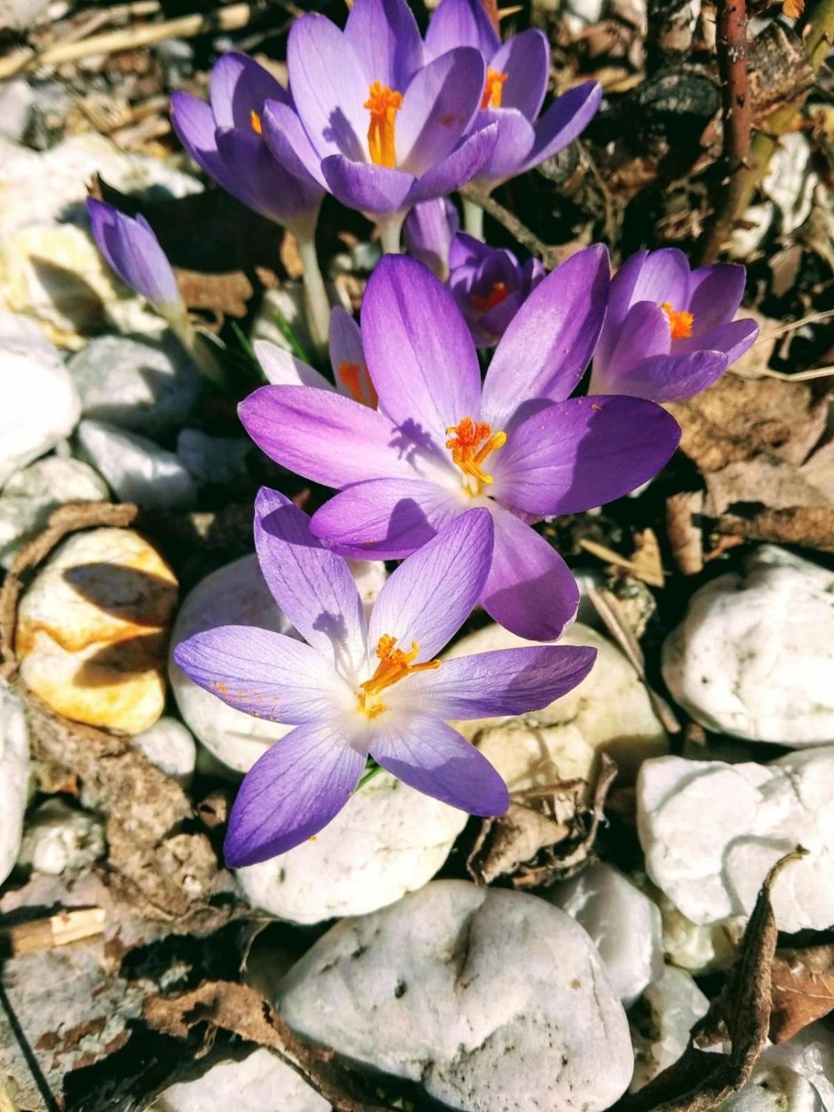 Ubytovani U Ropaku Horni Slavkov Bagian luar foto